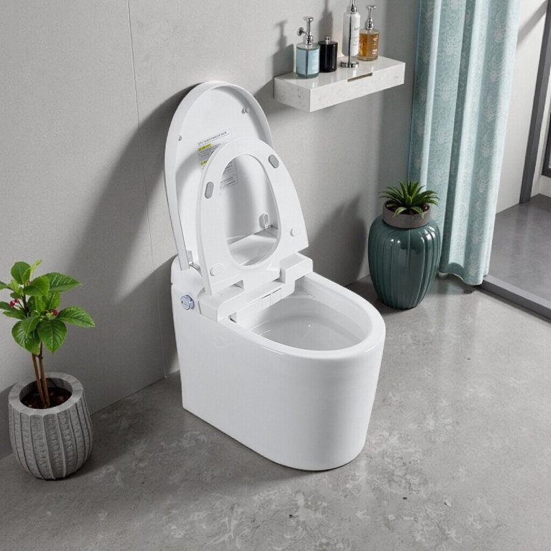 Smart One-Piece Tankless Toilet With Bidet, Heated Seat, Auto Flush & Remote Control