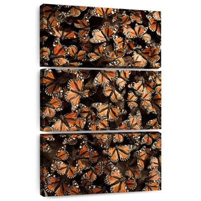 Monarch Butterfly Madness