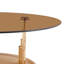 Ensemble de 2 tables basses rondes modernes en verre trempé avec base en métal-131136231