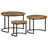 Turi Frame 3 Nesting Tables Coffee Table with Storage-1220972962