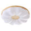 Acrylic Semi Flush Mount