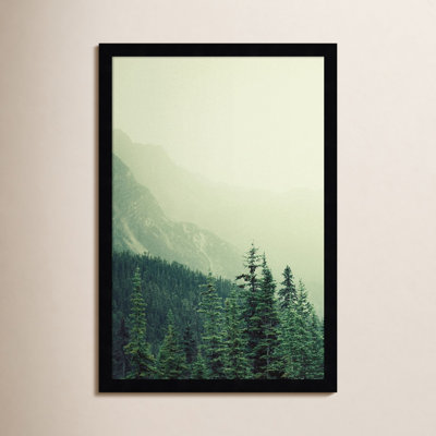 Rocky Mountain Trees 7 Photo Print
