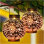 10.3'' Solar Powered Integrated LED Outdoor Lantern
