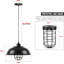 1 - Light Black Caged Pendant-328411777
