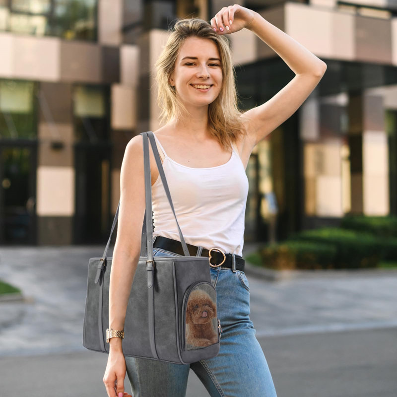 Pet Carrier, Grey