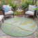 Machine Washable Indoor/Outdoor Xhevrie Green Rug