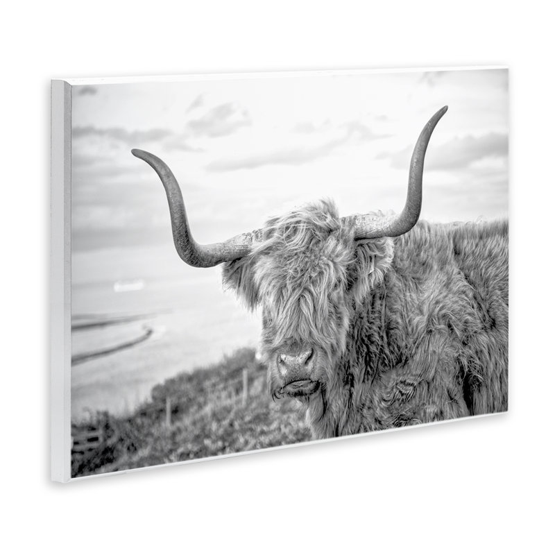 Art traditionnel sur plaque de bovin flou traditionnel par Jasper Huish, H 10 po x l 15 po