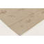 Tapis beige à motif floral moderne à motif d'aiguille 5 pi 10 po x 8 pi 9 po Modern