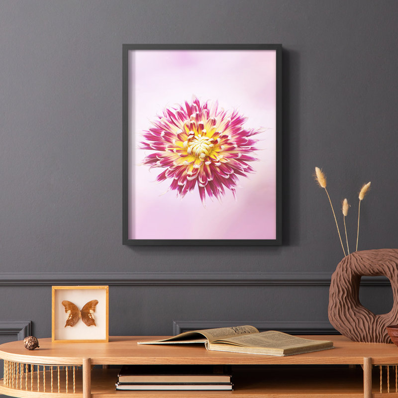 Exotic Flower Burst I, reproduction encadrée - bois massif, H 10 po x l 8 po, Noir