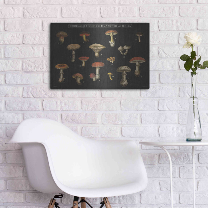 «Mushroom charte I» par Wild Apple Po, H 16 po x l 24 po
