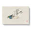 Herring Gull by Kono Baireir - Wrapped Canvas-55308045