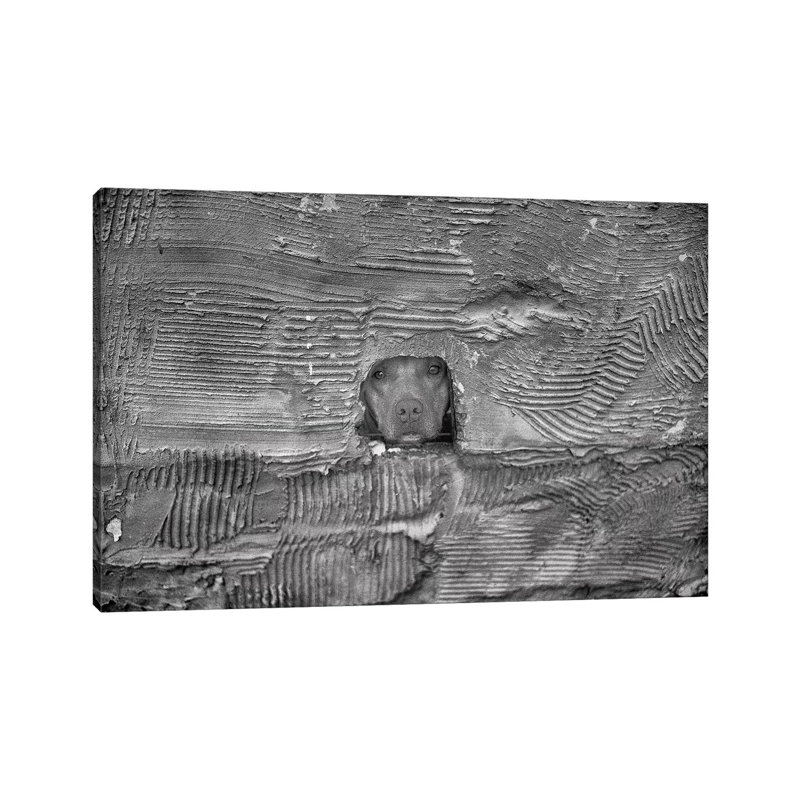Dog by Glauco Meneghelli - Wrapped Canvas Print, 66.04 cm H x 45.72 cm W
