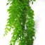 100cm Faux Plant-101685117