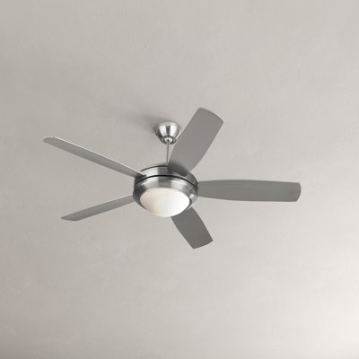 Stoller 44'' Ceiling Fan with LED Lights