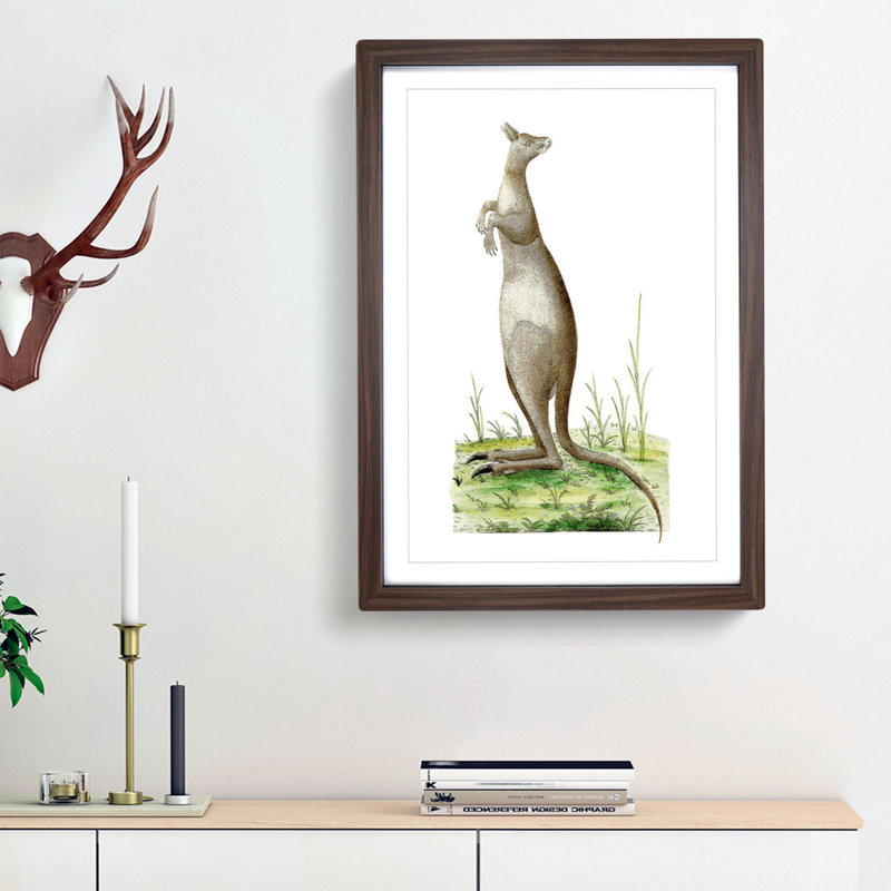 Great Kangaroo by George Shaw - Picture Frame Painting Print, Walnut Framed, 36cm H x 27cm W x 2cm D