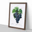 Blue Grapes by Pierre-Joseph Redoute - Framed Print-55545311-55545312