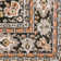 Maisey Oriental Indoor Rug