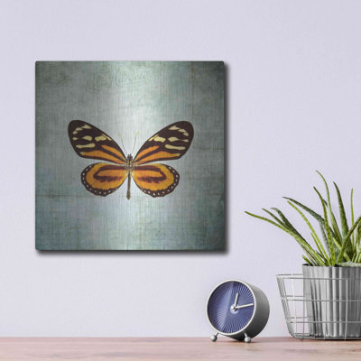 «French Butterfly VIII» par Debra Van Swearingen