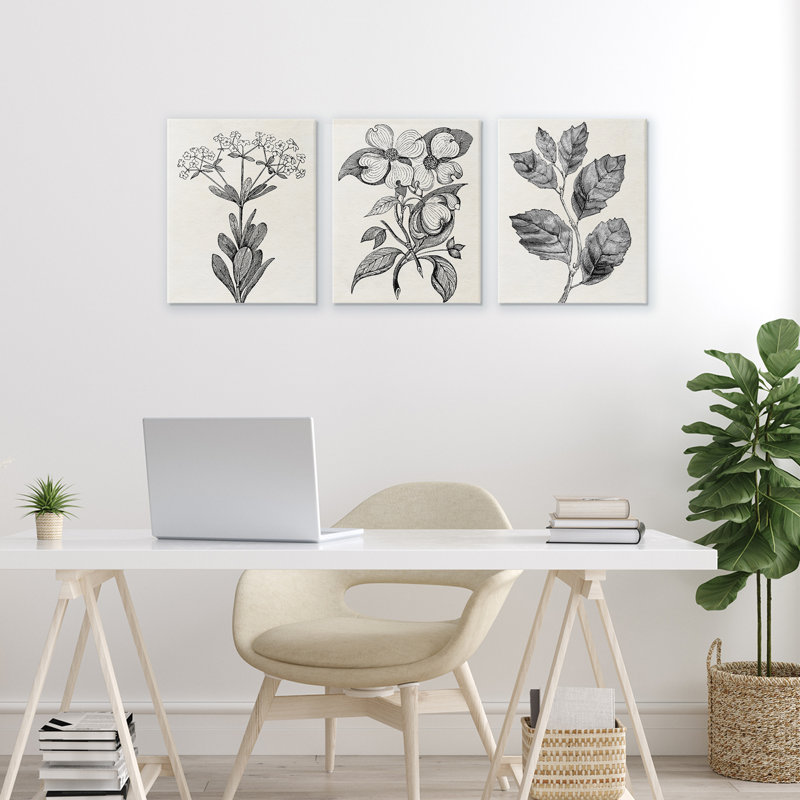 Ensemble de 3 toiles Classic Natural Botanicals, design par Karen Smith, H 14 po x l 33 po