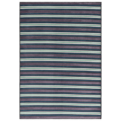 Striped Indoor / Outdoor Rug