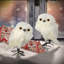 White owl 2-106869979