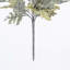 Dusty Miller Bush