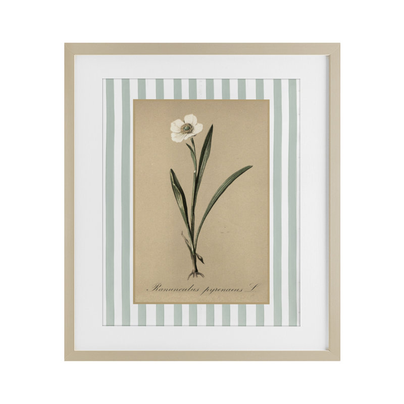 «Wild Poppy» avec rayures vertes encadrées sous verre, design avec lettres et doublure, H 16 po x l 13 po
