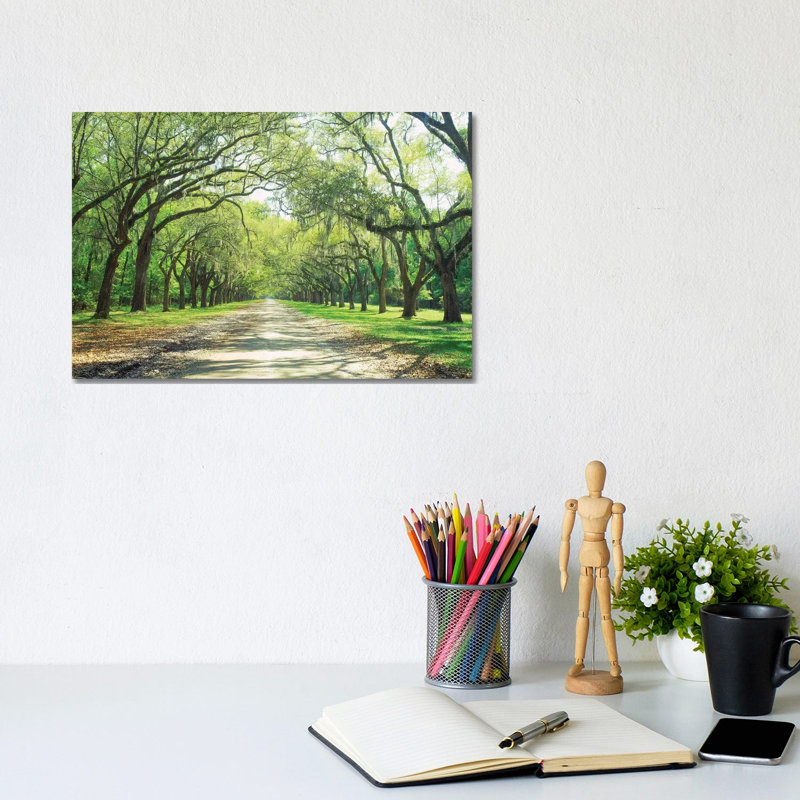 Live Oaks And Spanish Moss Wormsloe State Historic Site Savannah, Georgia by Panoramic Images - Wrapped Canvas Print