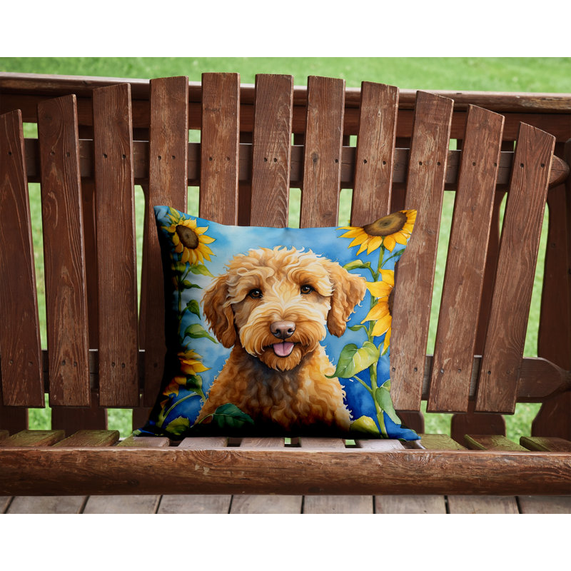 Other/No Pattern Outdoor Throw Pillow, 14" H x 14" W