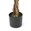 Ficus artificiel-1895712402