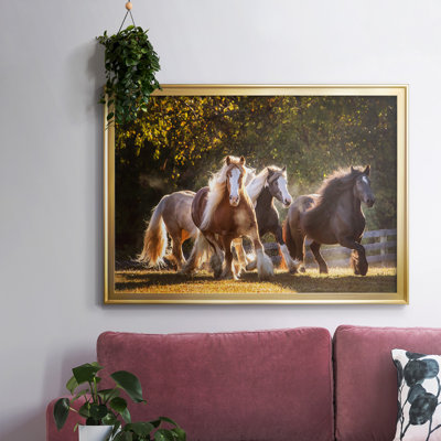 Sunlit Horses III, reproduction d'art sur toile encadrée