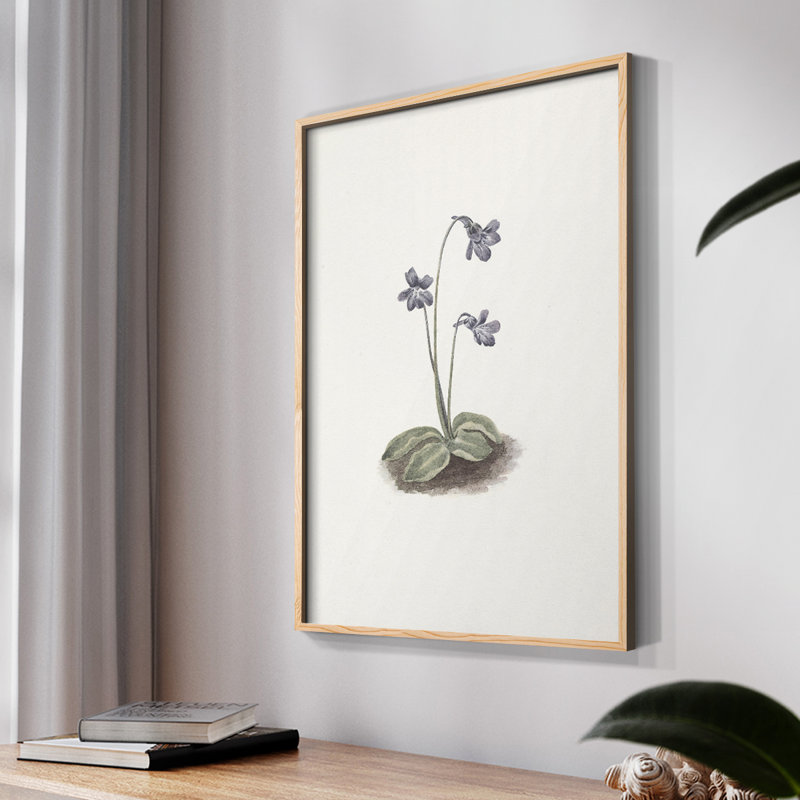 «Vintage Floral Print XVIII», impression encadrée sur papier, Naturel, H 14 po x l 11 po
