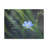Near To God James 4:8 Bible Verse - Wrapped Canvas Textual Art-1394582822