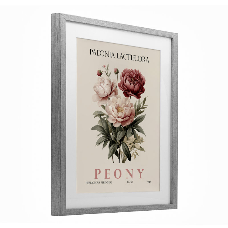 Ensemble de pivoines naturelles, reproduction encadrée sous verre, design par Christopher Giampietro, H 16 po x l 13 po