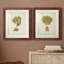 Toile encadrée écrue Corail VIIP Remium - prête à être accrochée-617589921-617360506-617360504