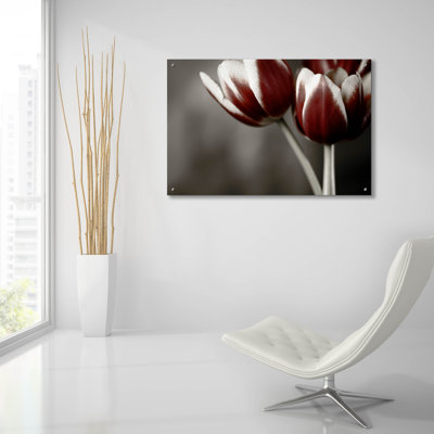 Epic Art «Red Tulips On Grey 01» par Tom Quartermai «Red Tulips On Grey 01» par Tom Quartermaine