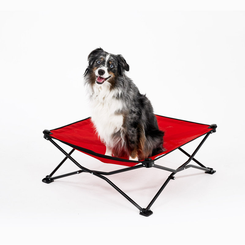 Polyester Pet Bed, Green, 8" H x 30" W x 30" D