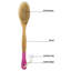 Brosse de bain-67068049