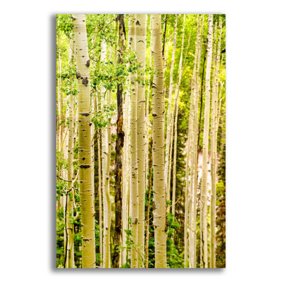 "Spring Aspens" par Mark A Paulda