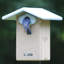 Maison d'oiseaux recyclée 13 po x 9 po x 11 po