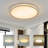 LED Flush Mount