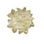 Daisy Flower Dish-266405969