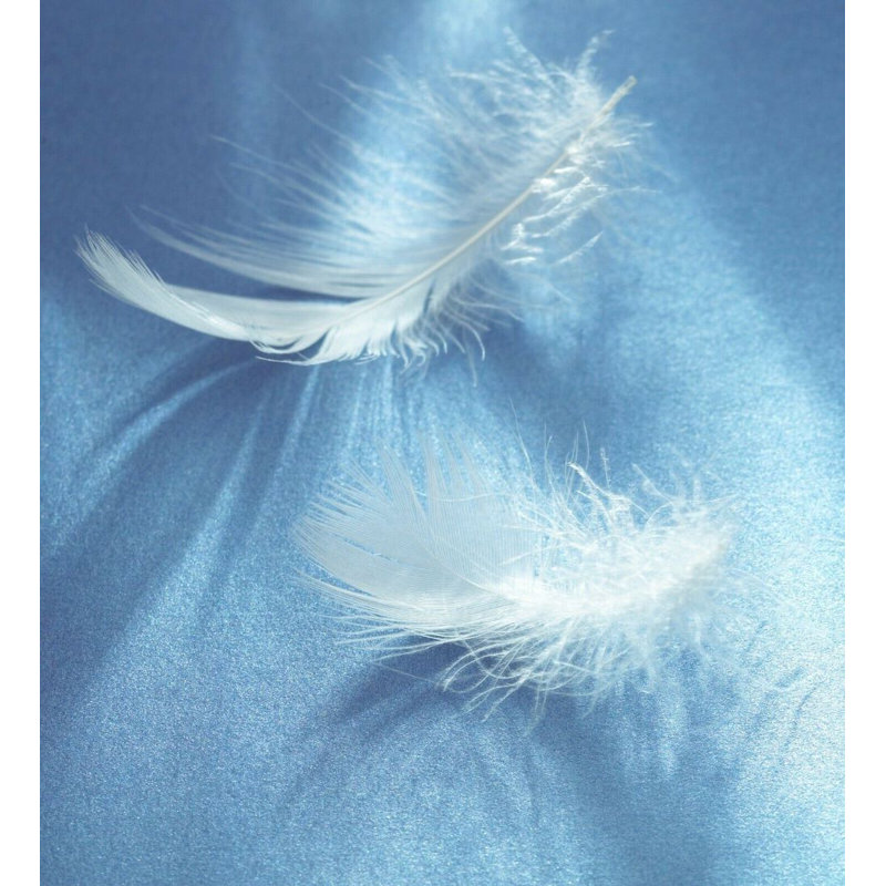 Goose Down 10.5 Tog Duvet, Super King