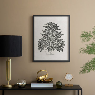 Vintage Floral Print CCCXXXII Framed Print - Solid Wood