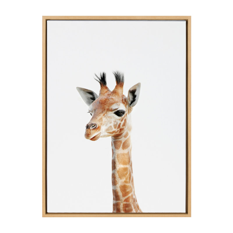 "Animal Studio Giraffe" par Amy Peterson, reproduction d'art sur toile encadrée, Cadre naturel, H 24 po x l 18 po x P 1,63 po