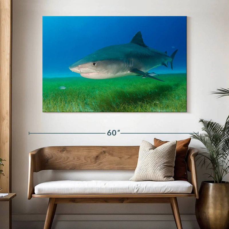 Tiger Shark On Sea Grass, 34" H x 51" W