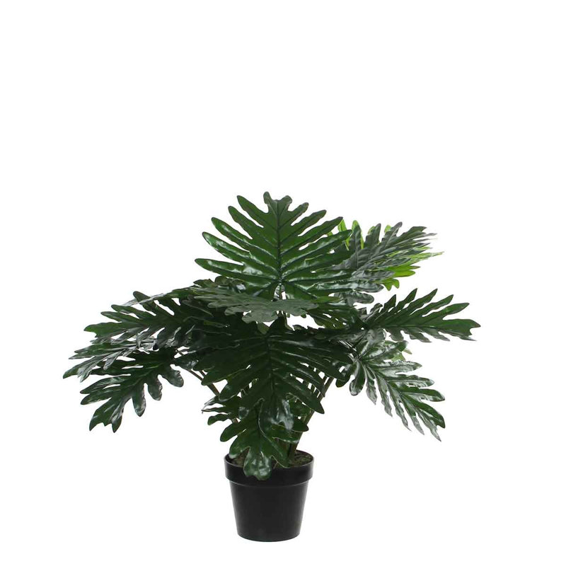 Faux Philodendron Plant in Pot, 60cm H x 70cm W x 70cm D