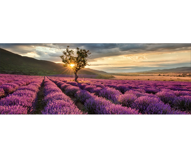No Frame Print on Canvas, 50 cm H x 125 cm W x 1.4cm D