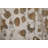 Jordon Animal Print Indoor Rug-1162358921