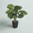 26.50'' Faux Monstera Plant in Pot
